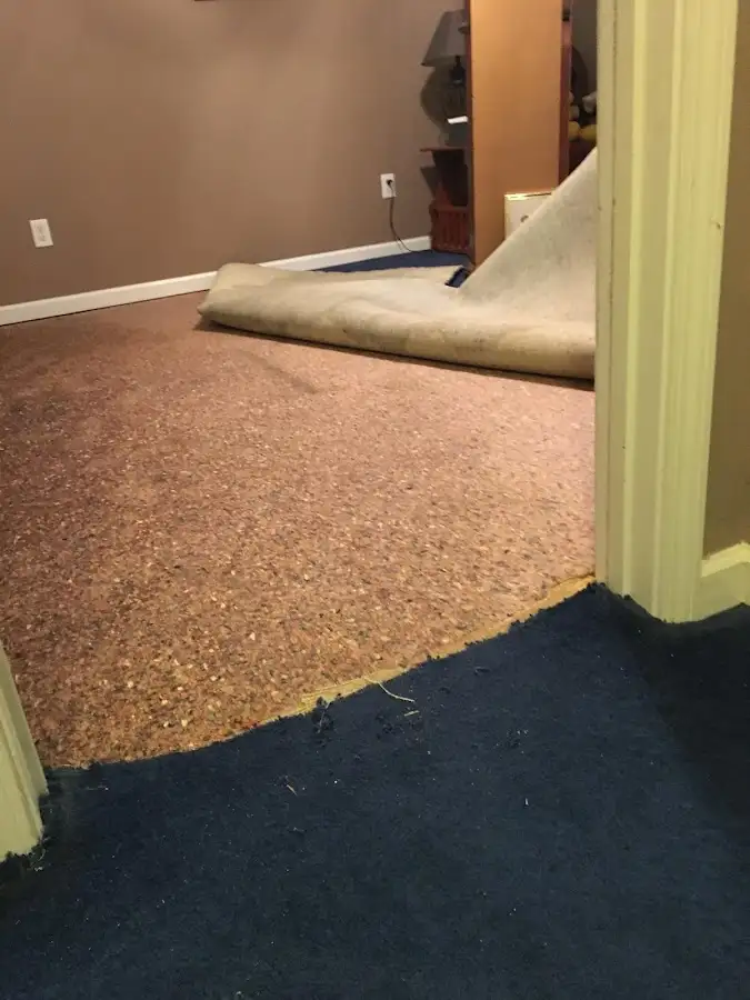Carpet pad removal revealing water damage during Drying & Dehumidification in Westland