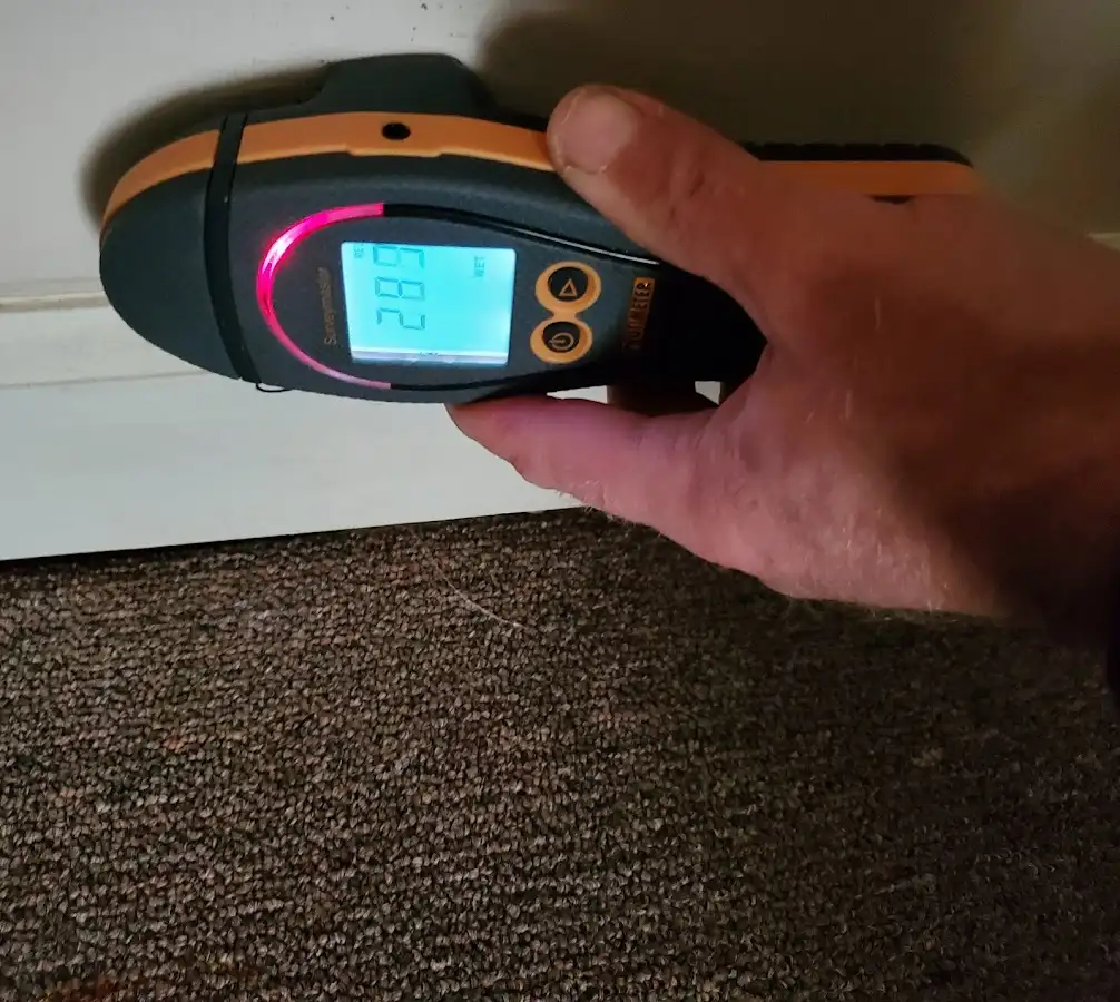 Moisture detection at baseboard during Sewage Cleanup & Sanitation in Westland